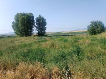 GÜVENAY - ÇORUM ABDALATA KÖYÜ SATILIK TARLA