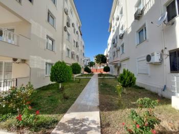 DİDİM ÇAMLIK MAHALLESİ’NDE,EŞYALI, HAVUZ CEPHELİ, DENİZE YÜRÜME MESAFESİNDE SATILIK 2+1 DAİRE