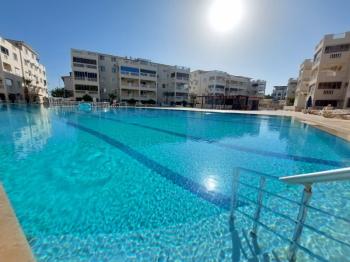 DİDİM ÇAMLIK MAHALLESİ’NDE,EŞYALI, HAVUZ CEPHELİ, DENİZE YÜRÜME MESAFESİNDE SATILIK 2+1 DAİRE