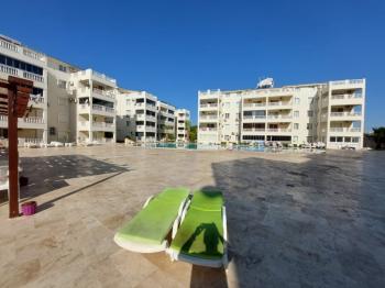 DİDİM ÇAMLIK MAHALLESİ’NDE,EŞYALI, HAVUZ CEPHELİ, DENİZE YÜRÜME MESAFESİNDE SATILIK 2+1 DAİRE