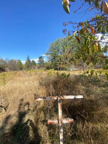 GÜVENAY - ÇORUM ILICA BAĞLARINDA İLİCE' DE SATILIK BAHÇE