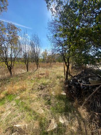 GÜVENAY - ÇORUM ILICA BAĞLARINDA İLİCE' DE SATILIK BAHÇE