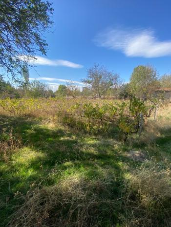 GÜVENAY - ÇORUM ILICA BAĞLARINDA İLİCE' DE SATILIK BAHÇE