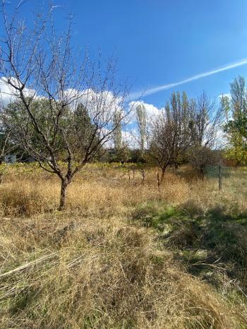 GÜVENAY - ÇORUM ILICA BAĞLARINDA İLİCE' DE SATILIK BAHÇE