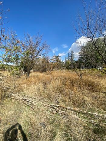 GÜVENAY - ÇORUM ILICA BAĞLARINDA İLİCE' DE SATILIK BAHÇE