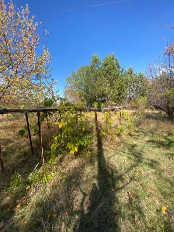 GÜVENAY - ÇORUM ILICA BAĞLARINDA İLİCE' DE SATILIK BAHÇE