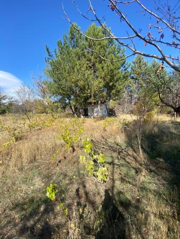 GÜVENAY - ÇORUM ILICA BAĞLARINDA İLİCE' DE SATILIK BAHÇE