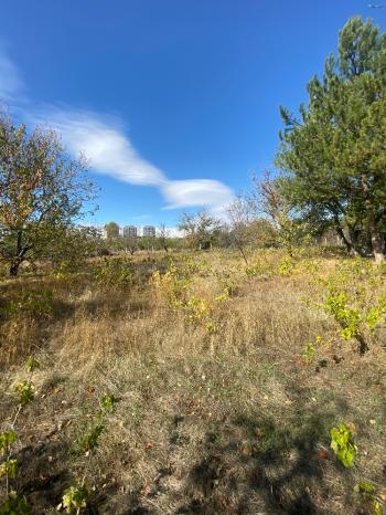GÜVENAY - ÇORUM ILICA BAĞLARINDA İLİCE' DE SATILIK BAHÇE