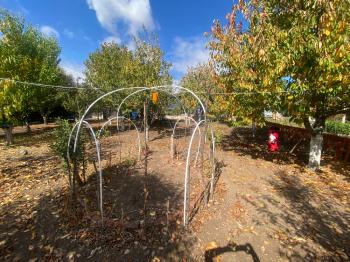 GÜVENAY - ÇORUM KURU ÇAY BAĞLARI 1300 M2 SATILIK BAĞ