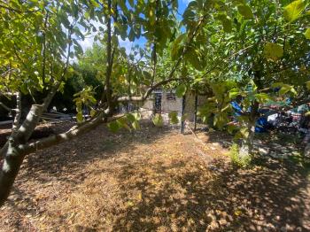 GÜVENAY - ÇORUM KURU ÇAY BAĞLARI 1300 M2 SATILIK BAĞ