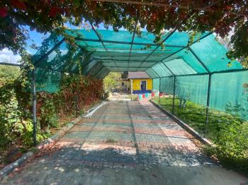 GÜVENAY - ÇORUM KURU ÇAY BAĞLARI 1300 M2 SATILIK BAĞ