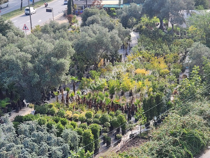 EMLAK HABERCİSİ 'NDEN MUDANYA ÖMERBEY'DE  PANORAMİK DENİZ MANZARALI OTOPARKLI SİTEDE 3+1 GENİŞ ARA KAT DAİRE