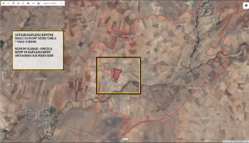 AFYON ÜÇOK EMLAKTAN KAPLANLI KÖYÜ CİVARI SATILIK GENİŞ TARLA