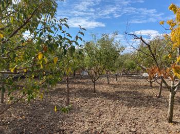 GÜVENAY - ÇORUM BUHARAEVLER PINAR KOLEJİ CİVARI VİLLA İMARLI ARSA 