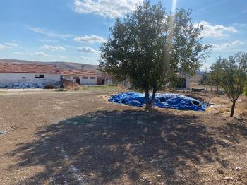 GÜVENAY - ÇORUM CEMİLBEY YOLU ESKİEKİN  KÖYÜ YOLU ÜZERİNDE SATILIK ÇİFTLİK 