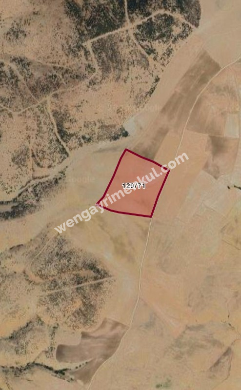 Kaman Kargınyenice Köyünde Suya Yakın Tarla