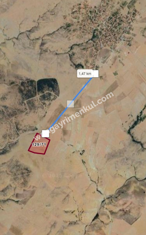 Kaman Kargınyenice Köyünde Suya Yakın Tarla