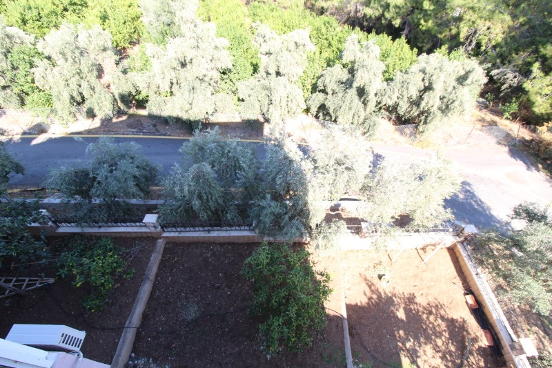 ASLAN'DAN KUYULUKTA DOĞA VE DENİZ MANZARALI TRİPLEKS VİLLA