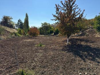 GÜVENAY - ÇORUM OSMANCIK YOLU ÜZERİ OSMANİYE KÖYÜ GİRİŞİNDE BAĞ