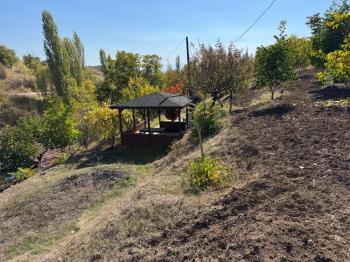 GÜVENAY - ÇORUM OSMANCIK YOLU ÜZERİ OSMANİYE KÖYÜ GİRİŞİNDE BAĞ