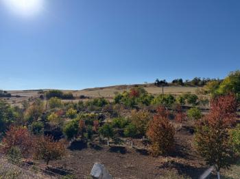 GÜVENAY - ÇORUM OSMANCIK YOLU ÜZERİ OSMANİYE KÖYÜ GİRİŞİNDE BAĞ