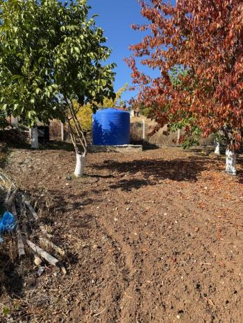 GÜVENAY - ÇORUM OSMANCIK YOLU ÜZERİ OSMANİYE KÖYÜ GİRİŞİNDE BAĞ