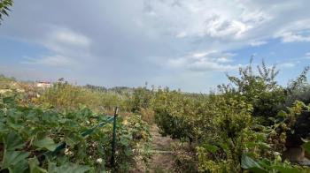 Elmas’tan Elvanlı’da 980 M2 Arazi İçinde Lüx Villa