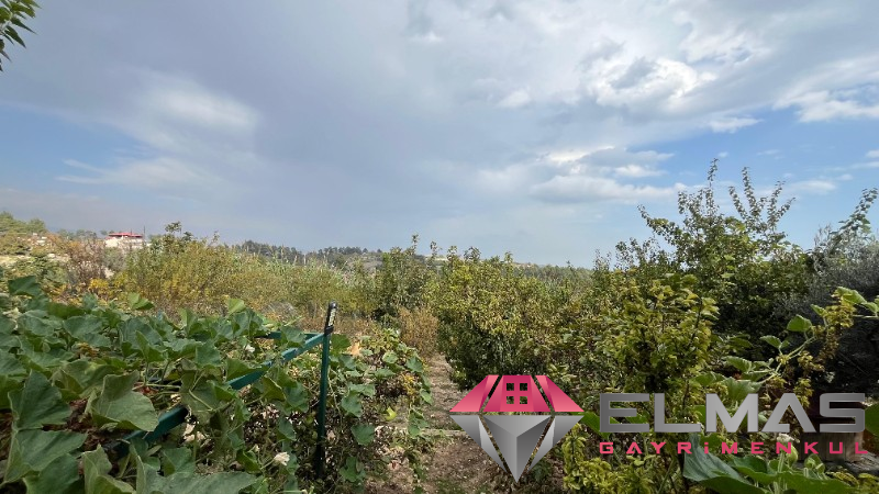 Elmas’tan Elvanlı’da 980 M2 Arazi İçinde Lüx Villa