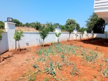 Akyeniköy Didim’de Satılık Tam Müstakil 3+1 Villa – 325 m² Bahçeli, Sıfır & İskanlı