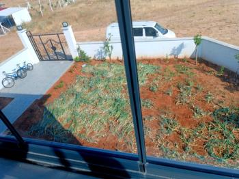 Akyeniköy Didim’de Satılık Tam Müstakil 3+1 Villa – 325 m² Bahçeli, Sıfır & İskanlı