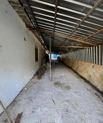 SAKARYA GEYVE'DE SATILIK ÇOK AMAÇLI ÇİFTLİK EVİ (TR/ENG)