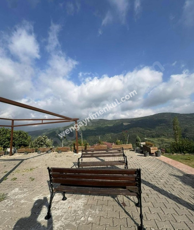 SAKARYA GEYVE'DE SATILIK ÇOK AMAÇLI ÇİFTLİK EVİ (TR/ENG)