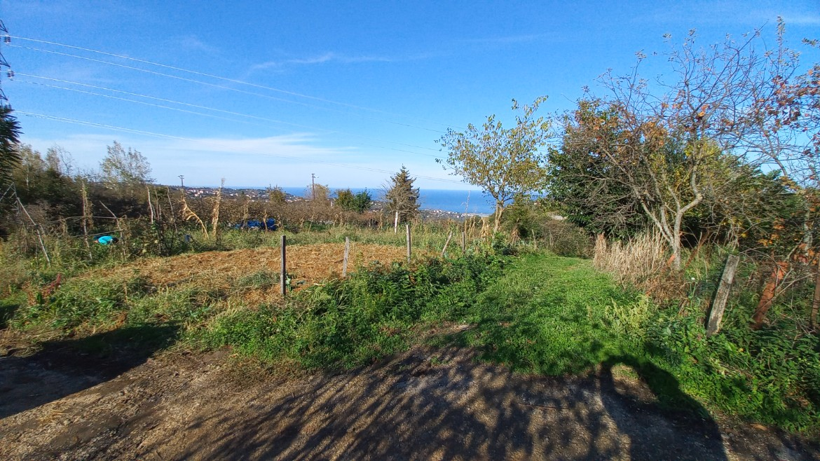 BEŞİKDÜZÜ TAKAZLI'DA SATILIK 1.167 M2 DÜZ ARAZİ