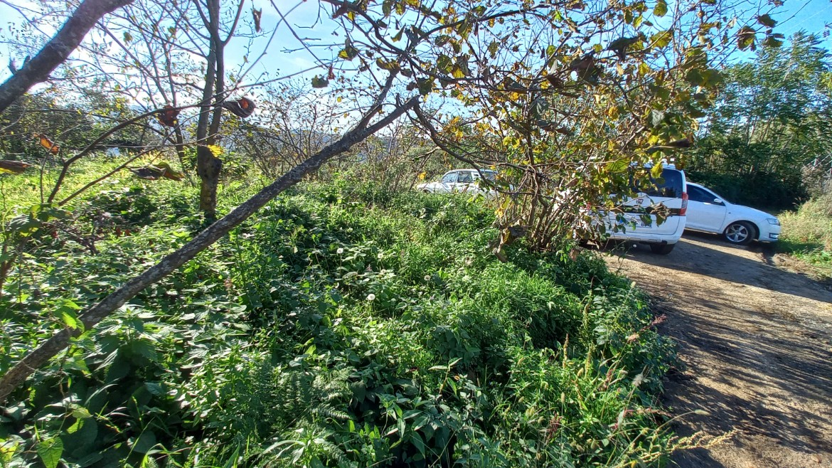 BEŞİKDÜZÜ TAKAZLI'DA SATILIK 1.167 M2 DÜZ ARAZİ