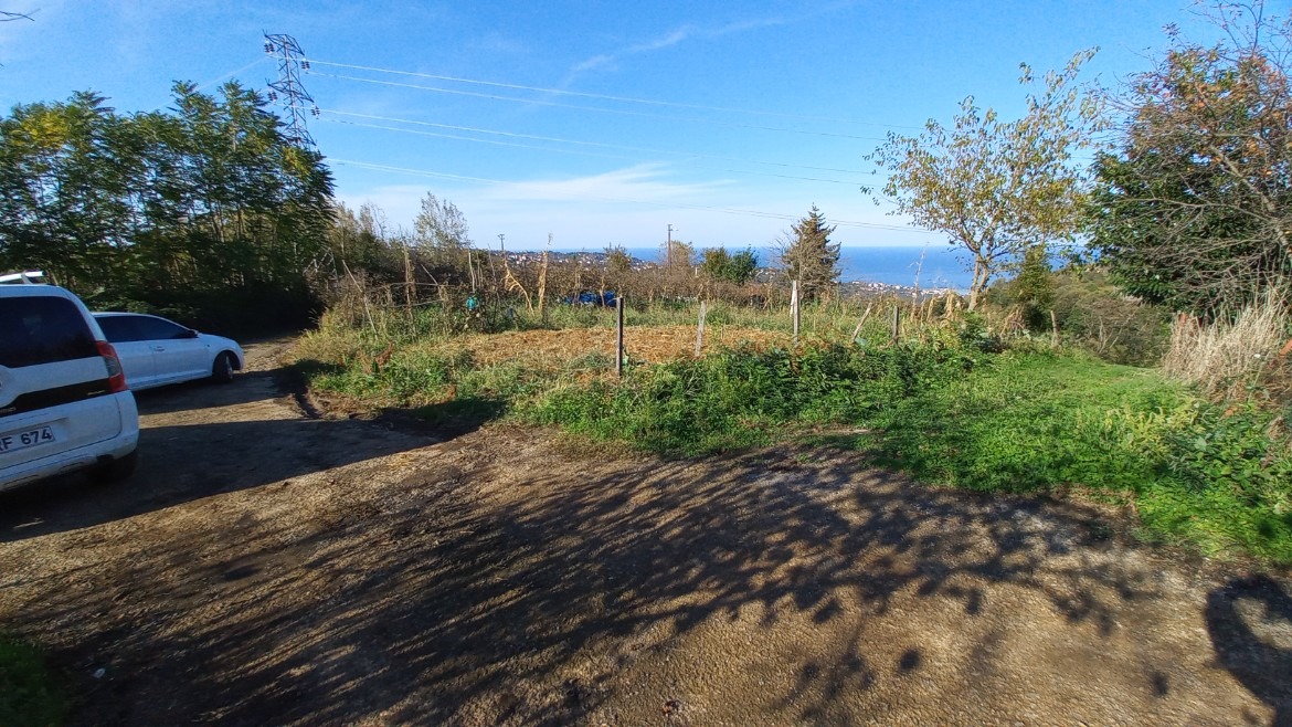 BEŞİKDÜZÜ TAKAZLI'DA SATILIK 1.167 M2 DÜZ ARAZİ