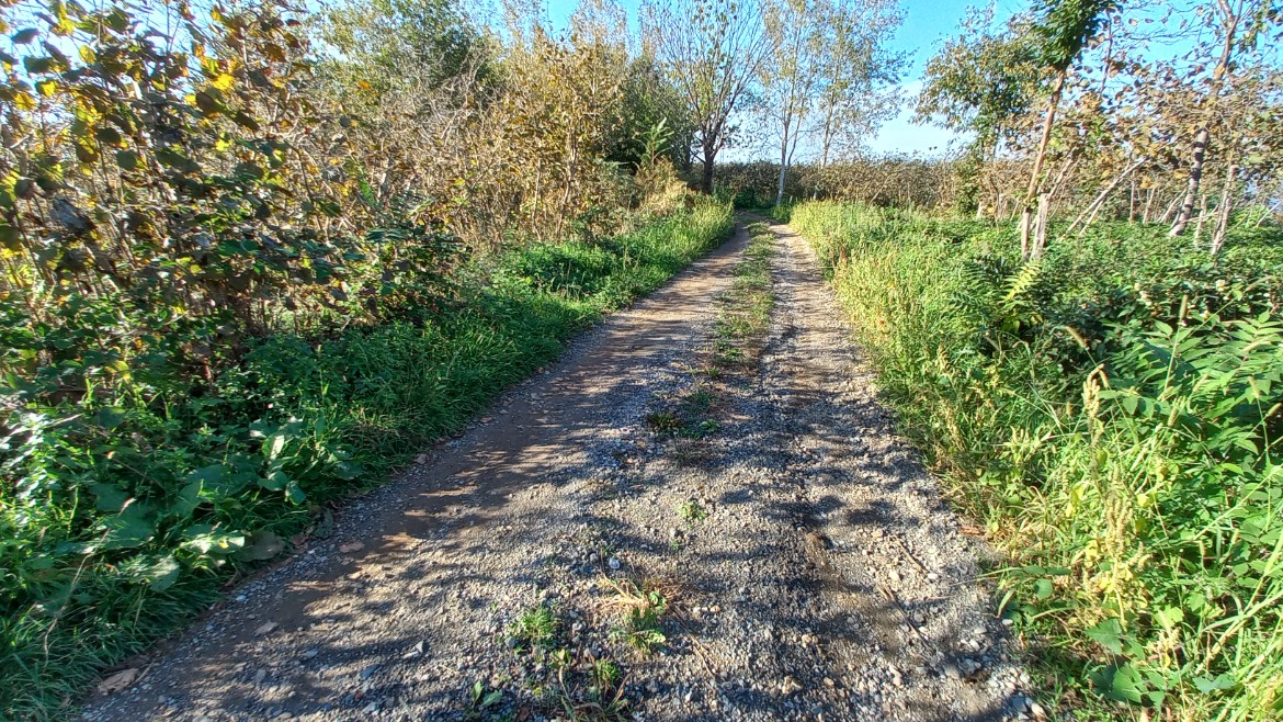 BEŞİKDÜZÜ TAKAZLI'DA SATILIK 1.167 M2 DÜZ ARAZİ