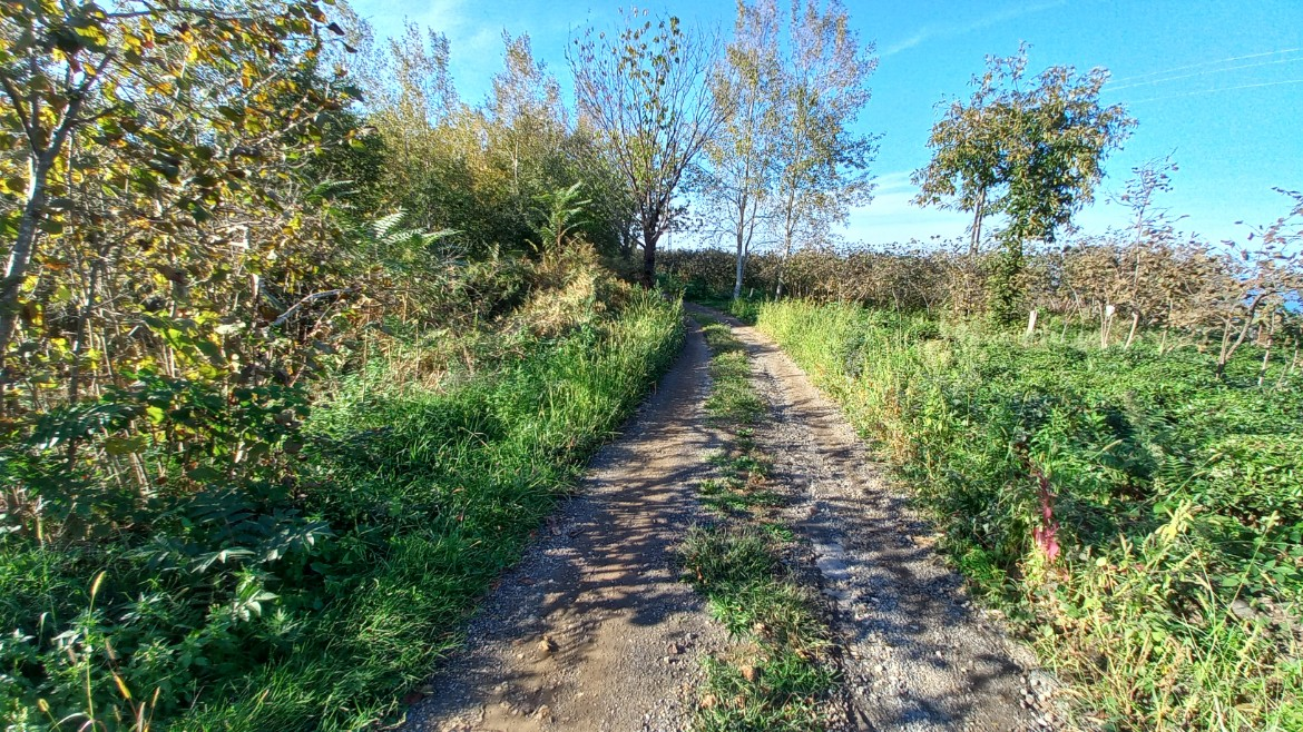 BEŞİKDÜZÜ TAKAZLI'DA SATILIK 1.167 M2 DÜZ ARAZİ