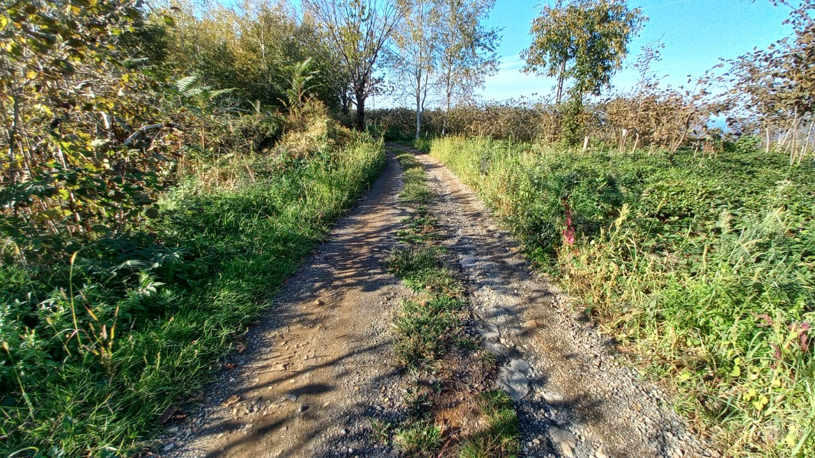 BEŞİKDÜZÜ TAKAZLI'DA SATILIK 1.167 M2 DÜZ ARAZİ