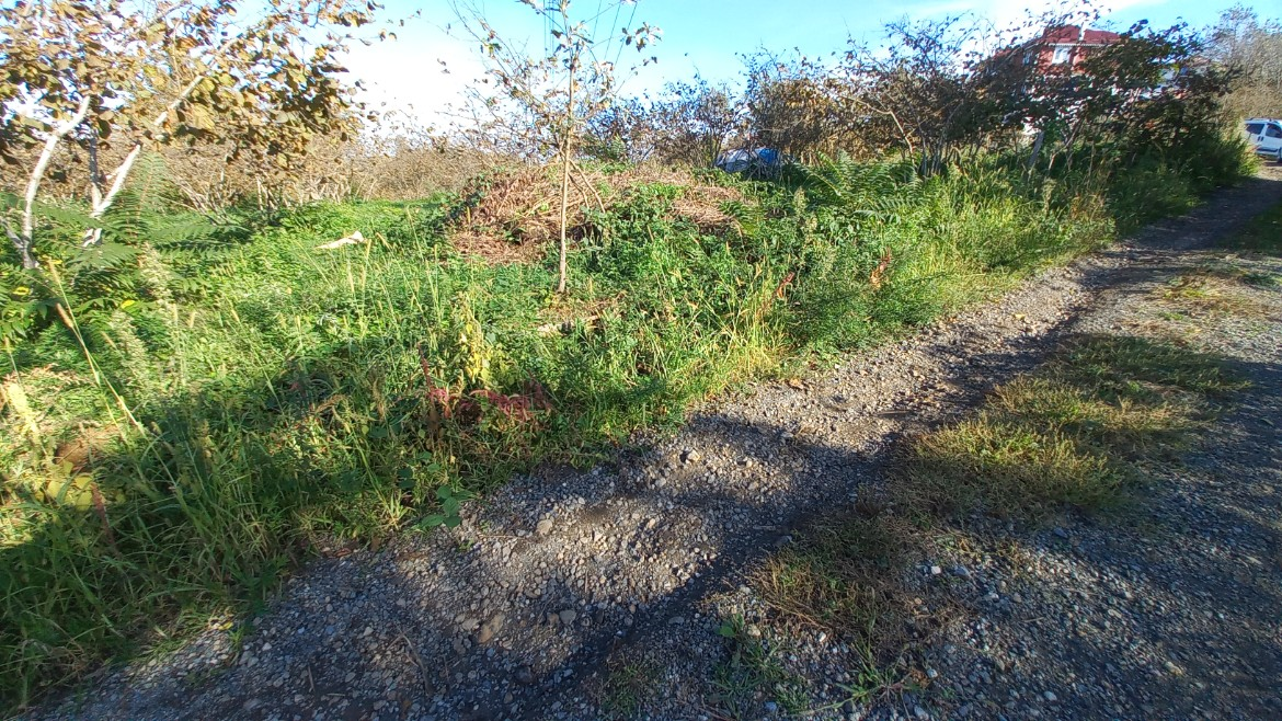 BEŞİKDÜZÜ TAKAZLI'DA SATILIK 1.167 M2 DÜZ ARAZİ