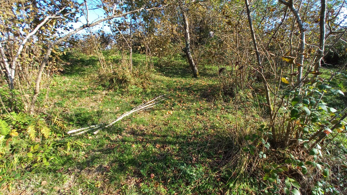 BEŞİKDÜZÜ TAKAZLI'DA SATILIK 1.167 M2 DÜZ ARAZİ