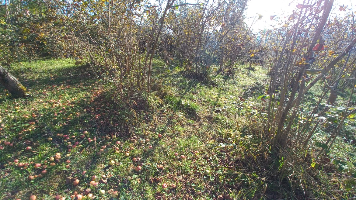 BEŞİKDÜZÜ TAKAZLI'DA SATILIK 1.167 M2 DÜZ ARAZİ