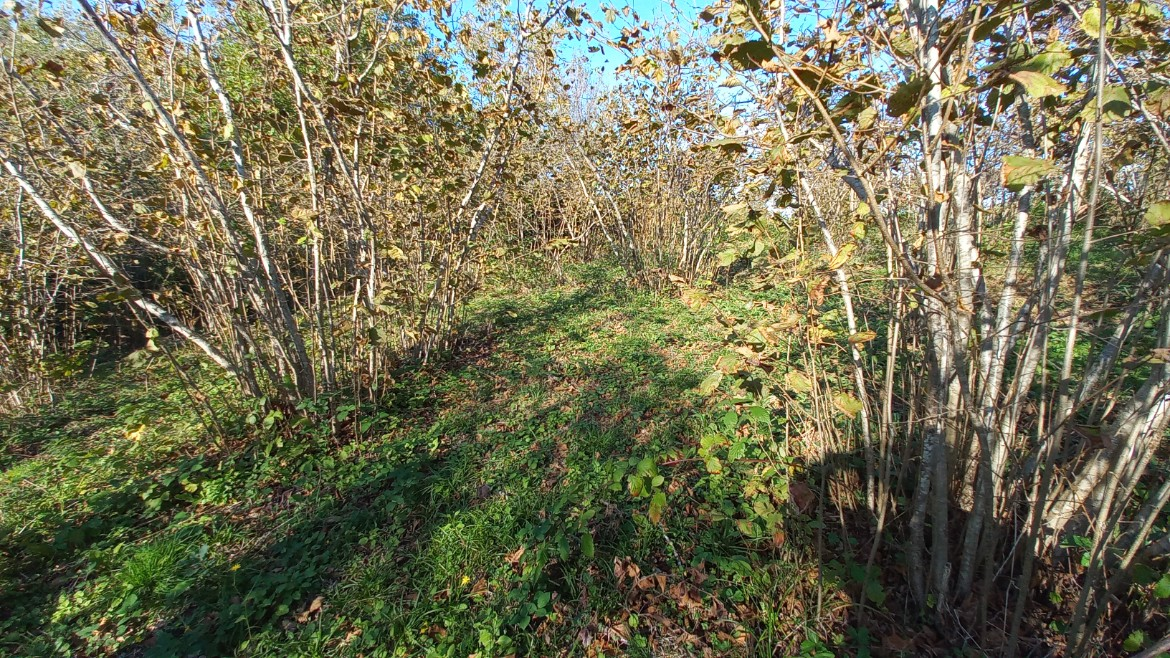 BEŞİKDÜZÜ TAKAZLI'DA SATILIK 1.167 M2 DÜZ ARAZİ