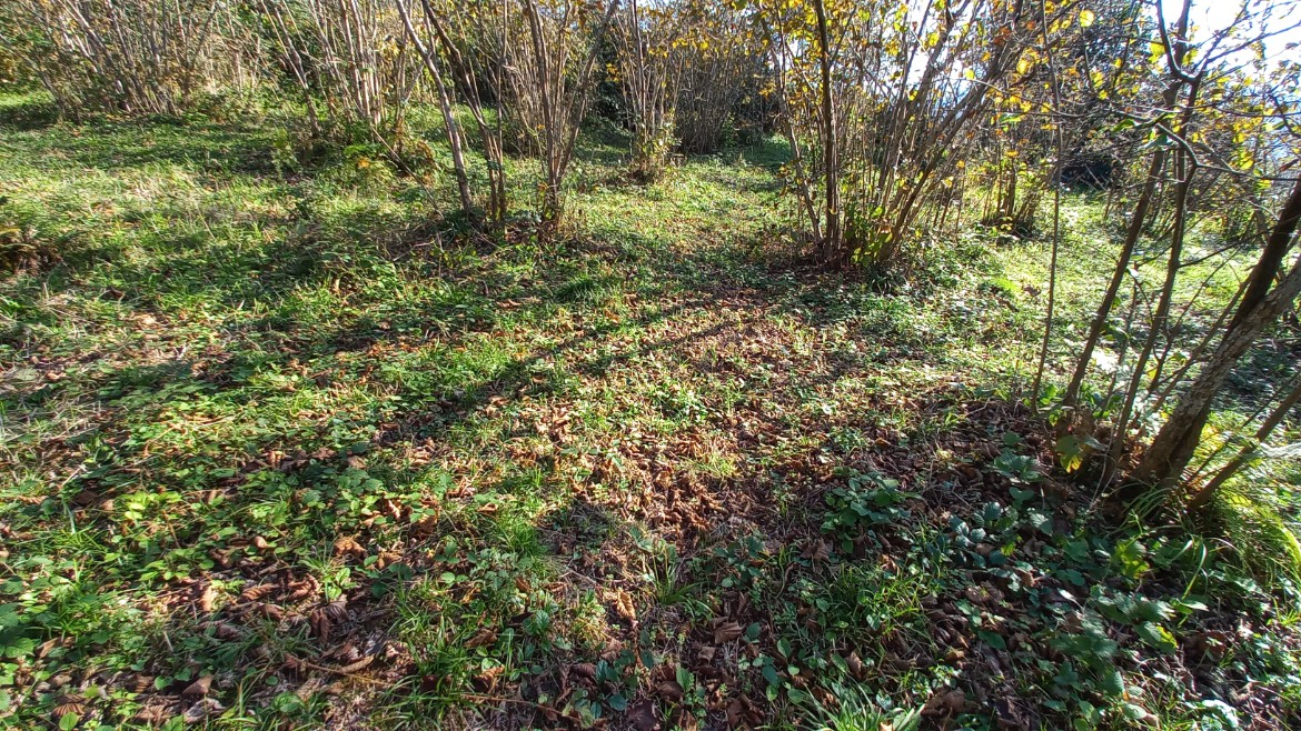 BEŞİKDÜZÜ TAKAZLI'DA SATILIK 1.167 M2 DÜZ ARAZİ