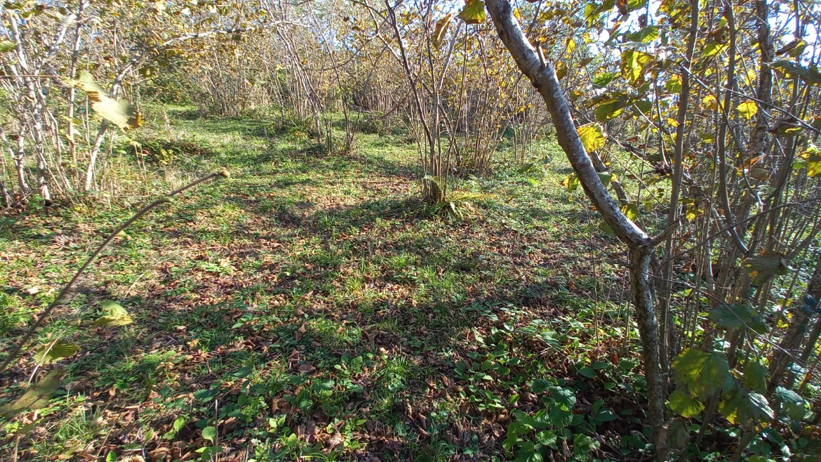 BEŞİKDÜZÜ TAKAZLI'DA SATILIK 1.167 M2 DÜZ ARAZİ