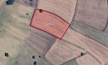 BİLECİK MERKEZ GÜLÜMBE KÖYÜ'NDE SATILIK TARLA (TR/ENG)