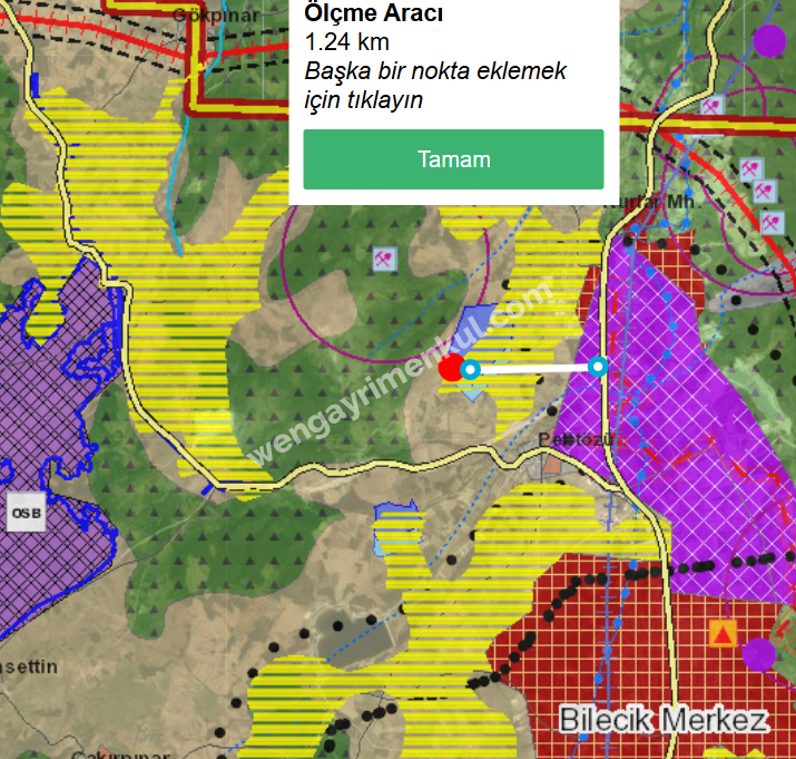 BİLECİK MERKEZ GÜLÜMBE KÖYÜ'NDE SATILIK TARLA (TR/ENG)