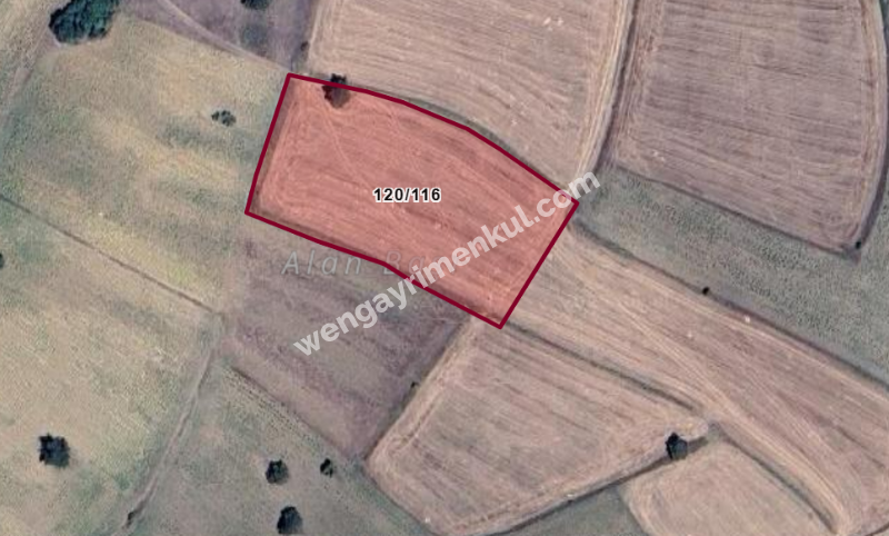 BİLECİK MERKEZ GÜLÜMBE KÖYÜ'NDE SATILIK TARLA (TR/ENG)