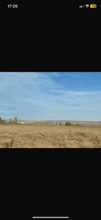 GÜVENAY - ÇORUM KADIKIRI KÖYÜ ANKARA - ÇORUM YOLU ÜZERİ  SATILIK TARLA