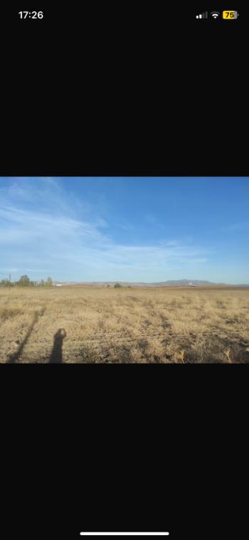 GÜVENAY - ÇORUM KADIKIRI KÖYÜ ANKARA - ÇORUM YOLU ÜZERİ  SATILIK TARLA