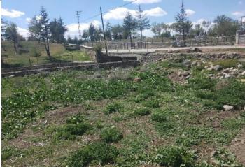 KONYA SEYDİŞEHİR ARSA TAPU SAHİBİ PERTA EMLAK ÜMİT TAHMAZ